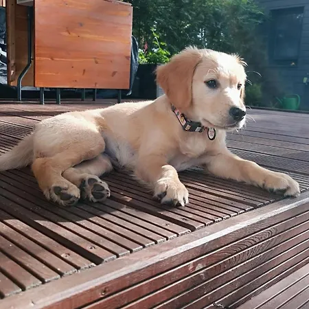 Lukasowy W Puszczy Noteckiej Biala (Wielen, Czarnkow-Trzcianka)