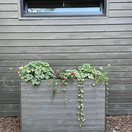 Lukasowy W Puszczy Noteckiej * Biala (Wielen, Czarnkow-Trzcianka)