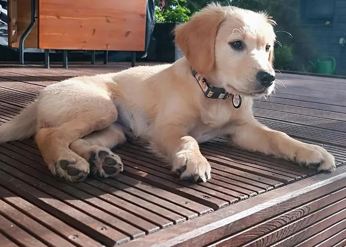 Lukasowy W Puszczy Noteckiej Biala (Wielen, Czarnkow-Trzcianka)