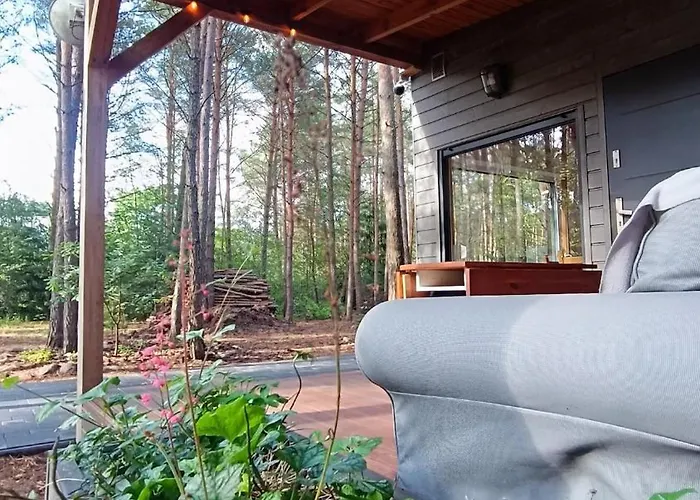 Lukasowy W Puszczy Noteckiej *