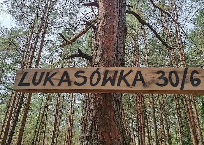 Lukasowy W Puszczy Noteckiej * Biala (Wielen, Czarnkow-Trzcianka)