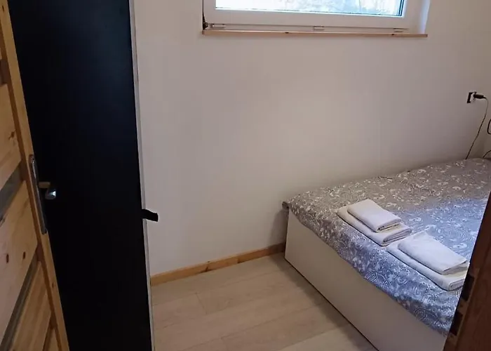 Lukasowy W Puszczy Noteckiej *