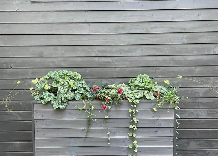 Lukasowy W Puszczy Noteckiej * Biala (Wielen, Czarnkow-Trzcianka)